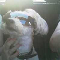 Photo #196775 de Fify