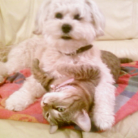 Photo #196779 de Fify