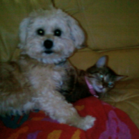 Photo #196783 de Fify