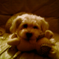 Photo #196795 de Fify