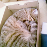 Photo #196824 de Niizy