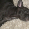 babouche_002