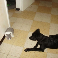 Photo #196873 de Booba