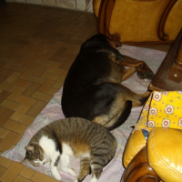 Photo #196929 de Triane 