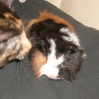 Photo #197117 de Fiona