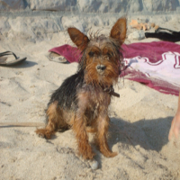 Photo #197192 de Daisy