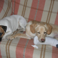 Photo #197197 de Alto