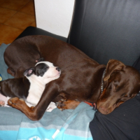 Photo #197273 de Kaizer