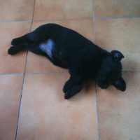 Photo #197295 de Fidji