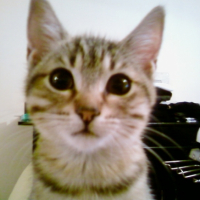 Photo #197299 de Niizy