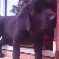 Photo #197300 de Fidji