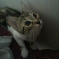 Photo #197314 de Mirabelle