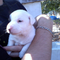 1mois