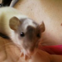 Photo #197324 de Misaki
