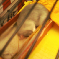Photo #197327 de Aiko