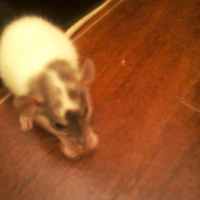 Photo #197331 de Misaki