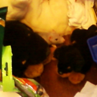 Photo #197344 de Aiko