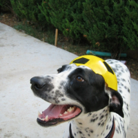 Photo #197345 de Macha
