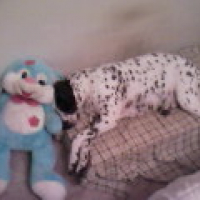 Photo #197349 de Macha