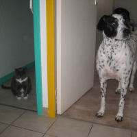 Photo #197353 de Macha