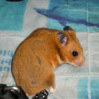 Photo #197455 de Micky