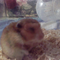 Photo #197457 de Micky