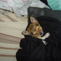 Photo #197480 de Alto