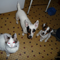Photo #197488 de Ebane