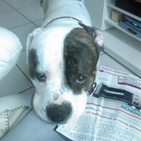 Photo #197568 de Dark