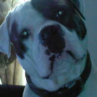Photo #197578 de Dark