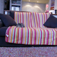 Photo #197622 de Anatole