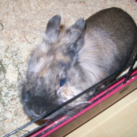 Photo #197691 de Vicky