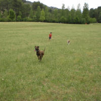Photo #197714 de Loulou