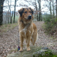 dans la foret...y a lenny !
