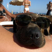 Photo #197728 de Loulou