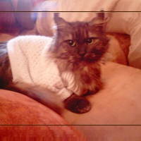 Photo #197746 de Minètte