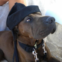Photo #197754 de Loulou