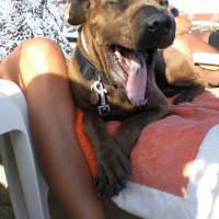 Photo #197768 de Loulou
