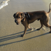 Photo #197771 de Loulou