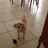 DSC00022