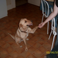 Photo #197803 de Fiona