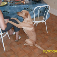 Photo #197813 de Fiona