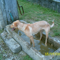 Photo #197819 de Fiona