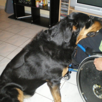 Photo #197871 de Valko