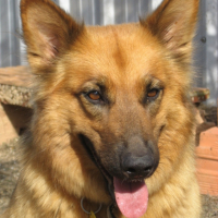 Photo #197891 de Kya