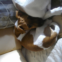Photo #197965 de Clea