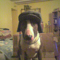 Photo #198058 de Spyke