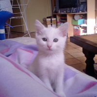 Photo #198084 de Lucky