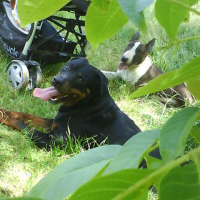 Photo #198087 de Spyke