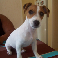 Photo #198116 de Bud